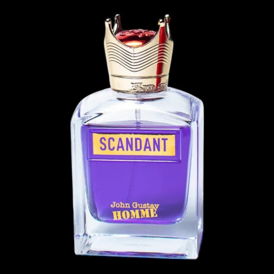 Scandant Homme 100ml - Fragrance world