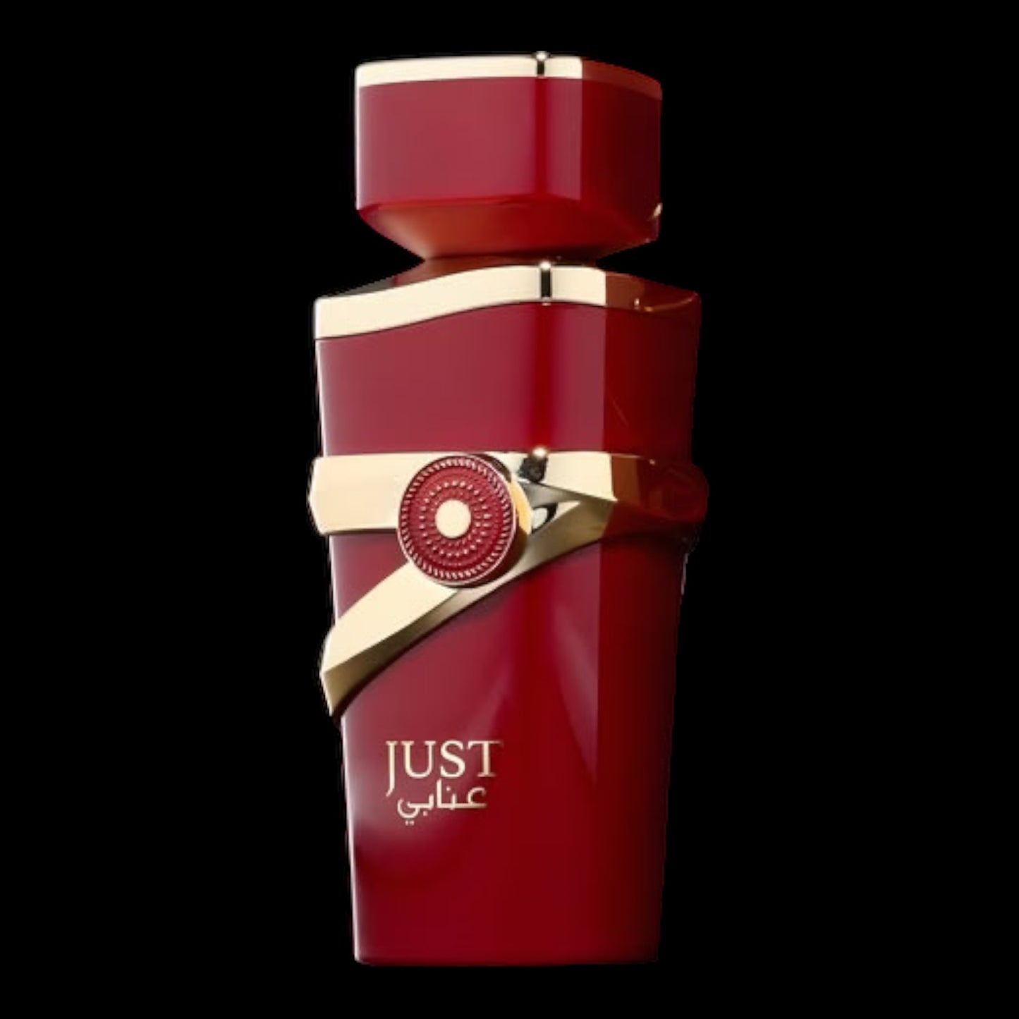 Just Anabi 100ml - Fragrance world