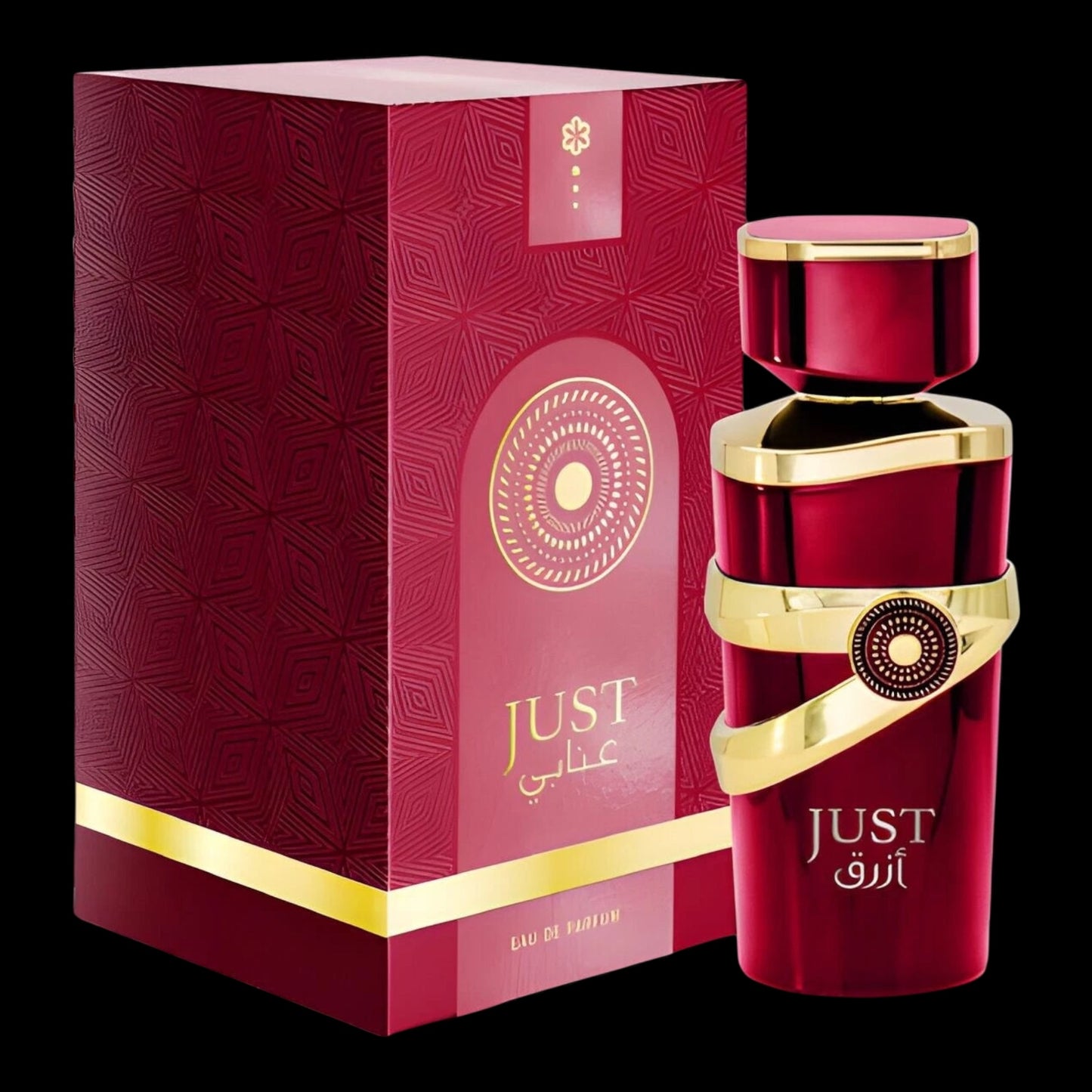 Just Anabi 100ml - Fragrance world